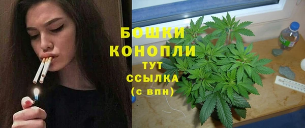 прущие грибы Зерноград