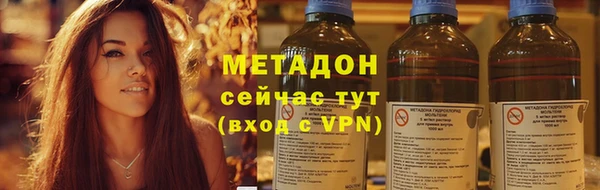 прущие грибы Зерноград