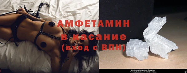 прущие грибы Зерноград