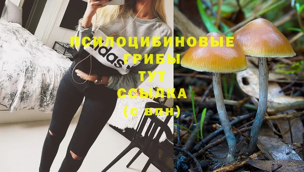 гидра Зеленокумск