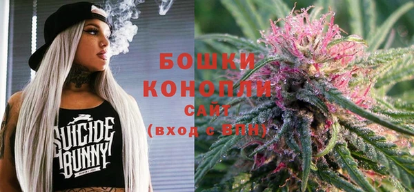 прущие грибы Зерноград