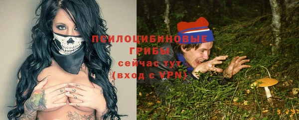 прущие грибы Зерноград