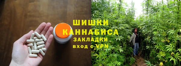 гидра Зеленокумск
