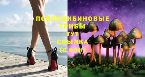 прущие грибы Зерноград