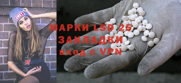 прущие грибы Зерноград