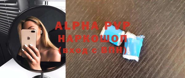 прущие грибы Зерноград
